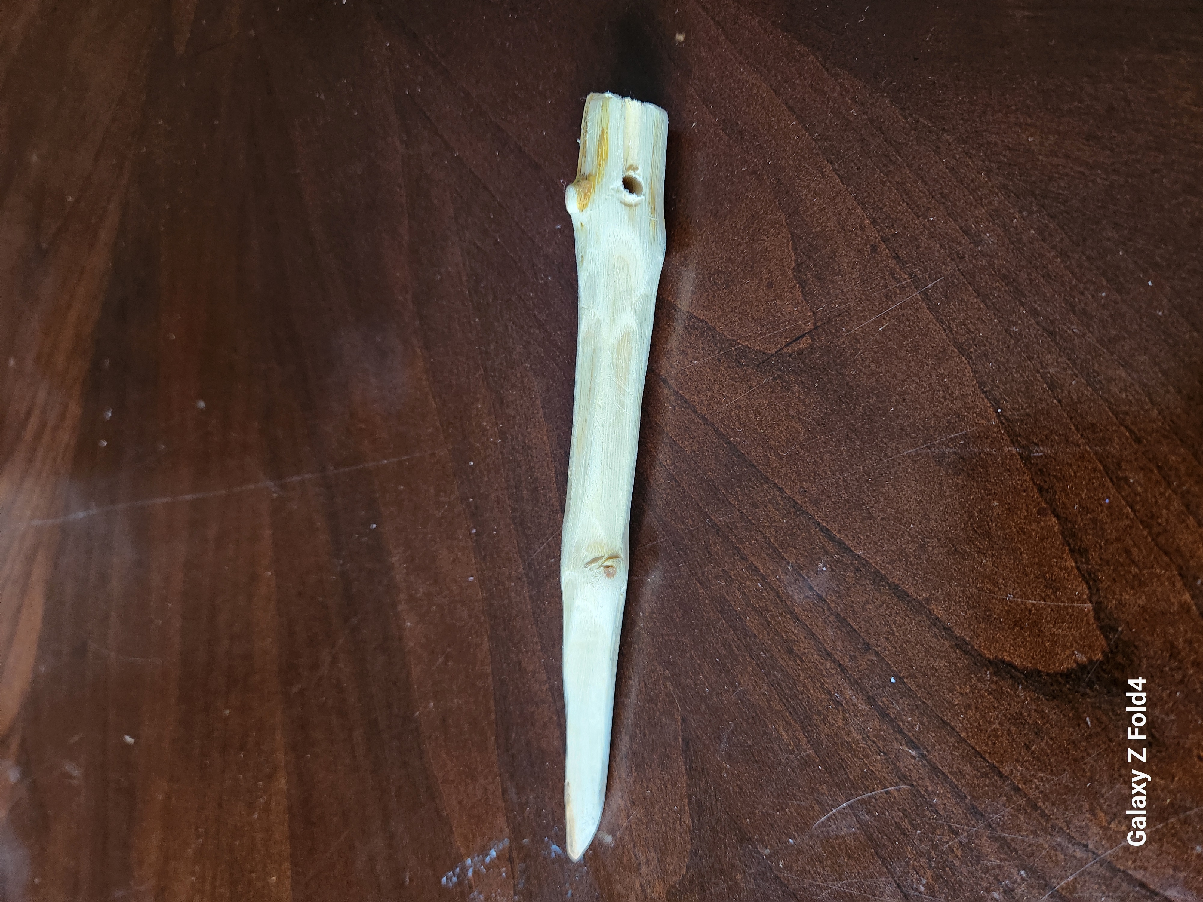 Hair%20pin%20with%20Buckthorn%20wood